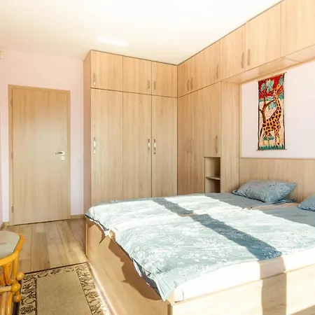 Center Nikola Plovdiv