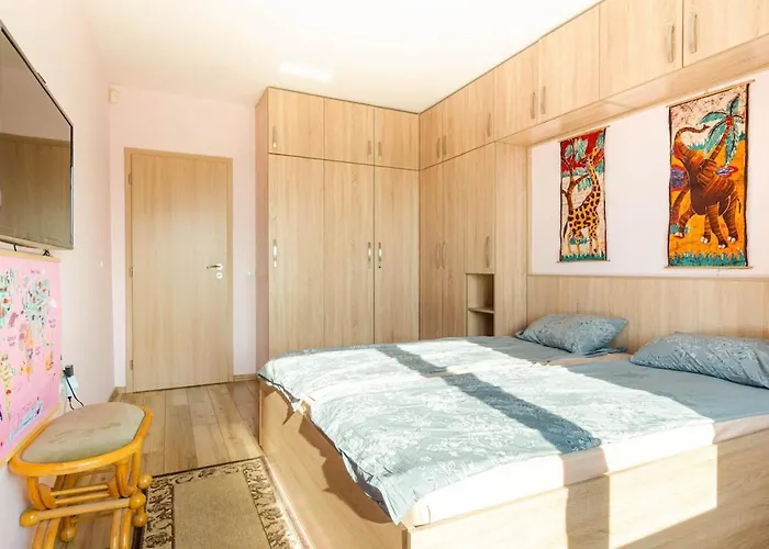 Center Nikola Φιλιππούπολη